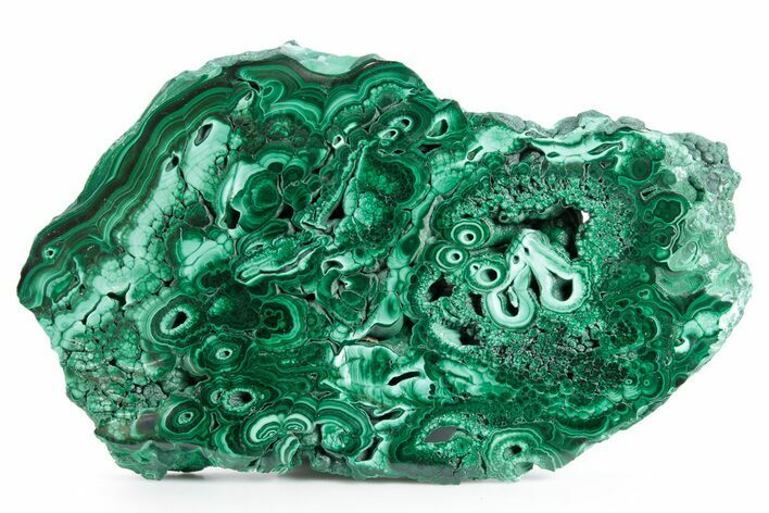 Flowery Polished Malachite Slab - DR Congo #360772